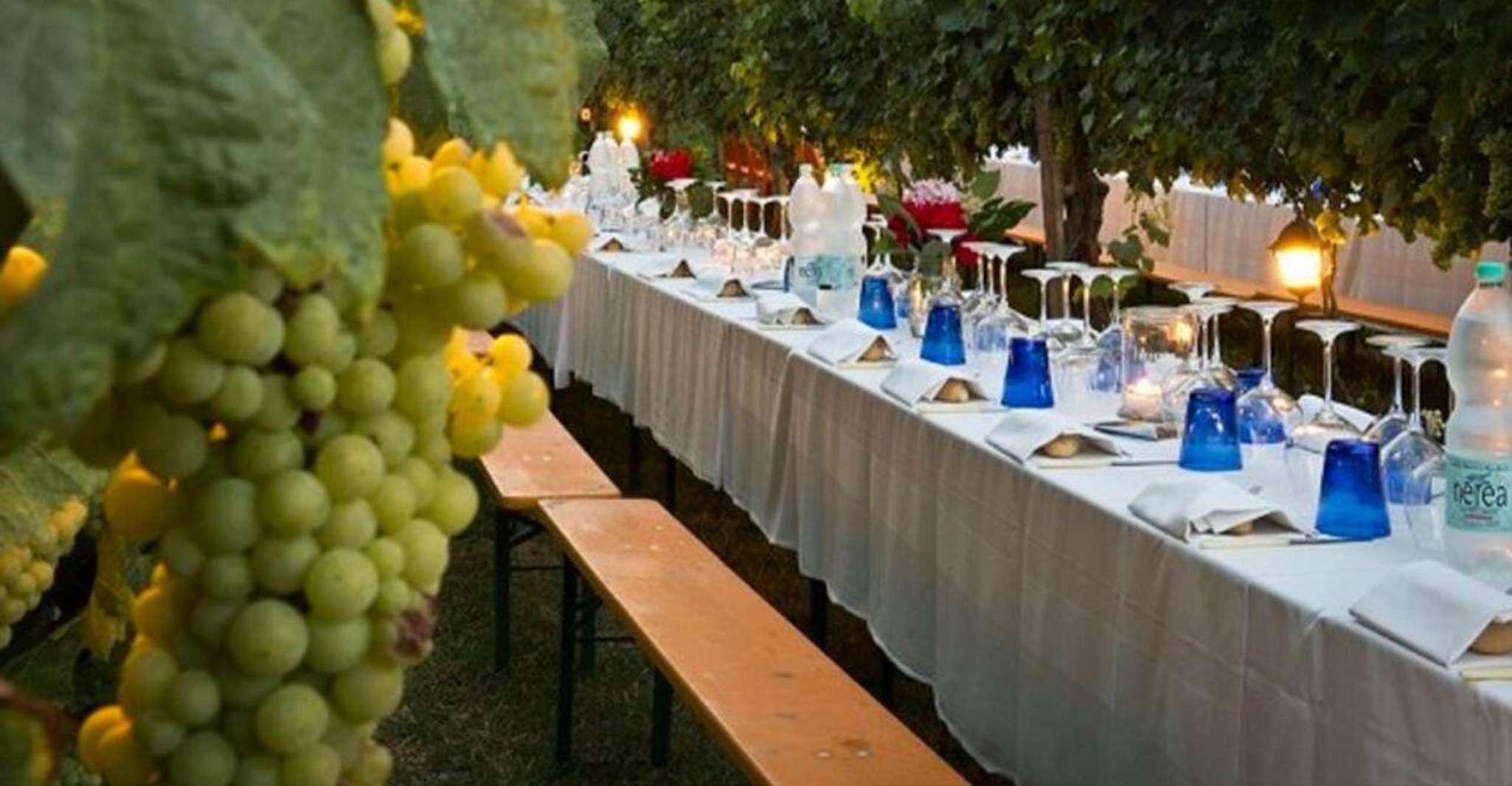 Florence: Chianti Vineyards Tour with Wine Tasting & Dinner photo 17