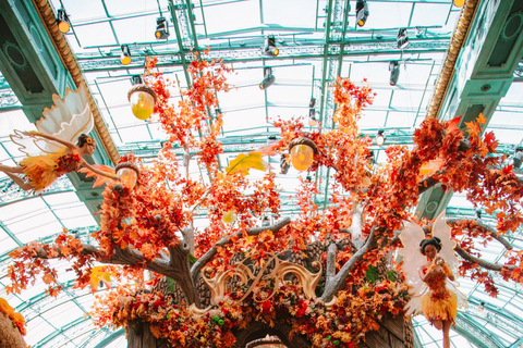 Private Vacation Photoshoot with Photographer in Las Vegas 1 HOUR MORNING SESSION LAS VEGAS