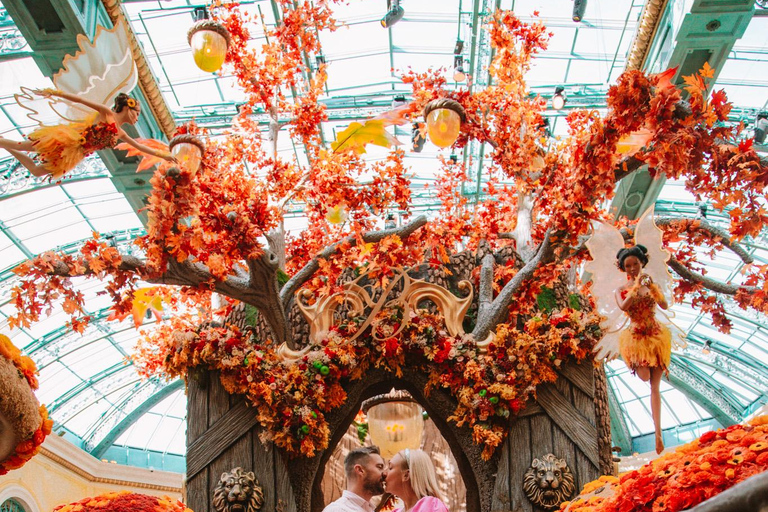 Private Vacation Photoshoot with Photographer in Las Vegas 1 HOUR MORNING SESSION LAS VEGAS