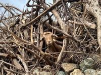 2 jours Treking Touble. - Housity