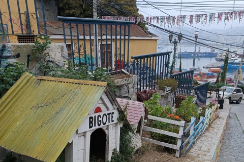 Viña del Mar und Valparaíso