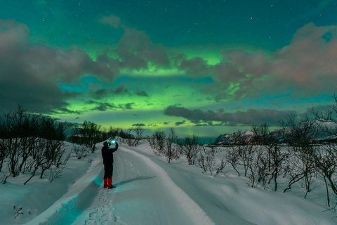 Depuis Reykjavik : observation des aurores boréales de 3,5 hVisite en anglais avec rendez-vous au point de rencontre