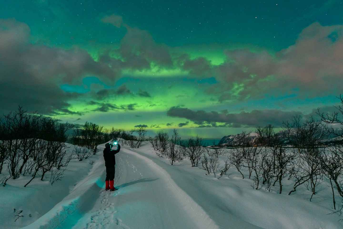 From Reykjavik: Northern Lights Chase with Expert Guide