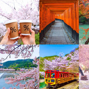 Osaka/Kobe: Tour privado por la región de Kansai con servicio de recogida y guía