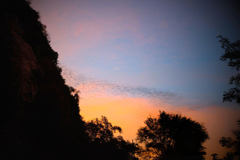 Battambang Afternoon Countryside, BambooTrain & BatCaveTour Afternoon Countryside, Bamboo Train & Bat Cave Tour