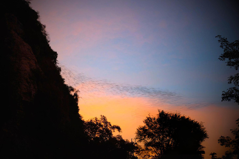 Battambang Afternoon Countryside, BambooTrain & BatCaveTour Afternoon Countryside, Bamboo Train & Bat Cave Tour