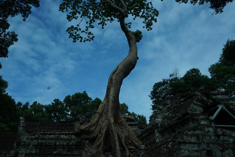 Angkor Wat: 3-Days Private Angkor Wat tour for Family