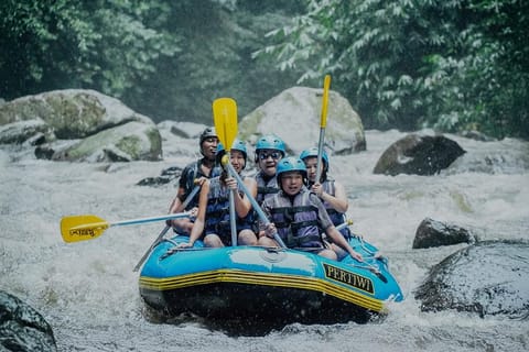 Bali White Water Rafting with Monkey Forest and Jungle Swing