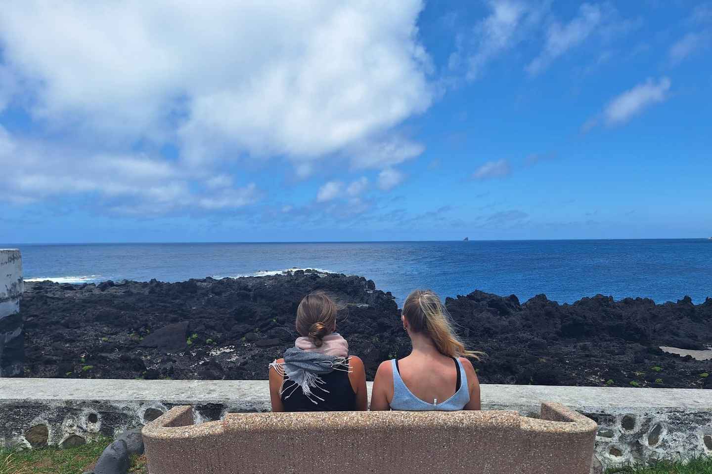 夢の島を巡る完全ガイドツアー