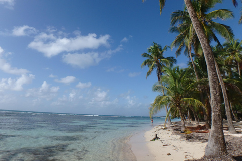 Transfer lotniskowy | GwadelupaLotnisko &lt;-&gt; Le Gosier