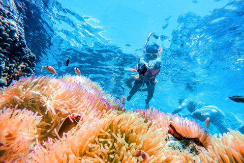 Z Koh Chang: 4 wyspy Snorkel &amp; Beach Tour dużą łodziąRejs wycieczkowy na 4 wyspy: Z transferem do hotelu