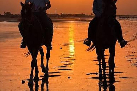 Muscat: Sunset Horse Riding on the Beach + Private Transfer