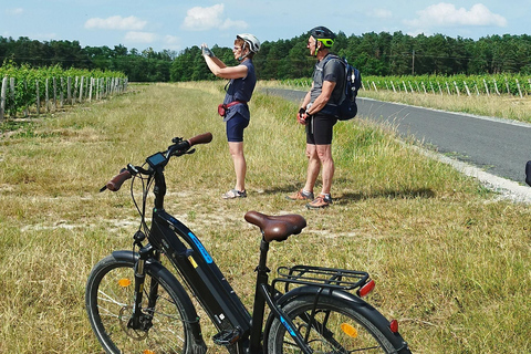 Royal Loire E-bike day: Amboise, Chenonceau & Wine Tasting