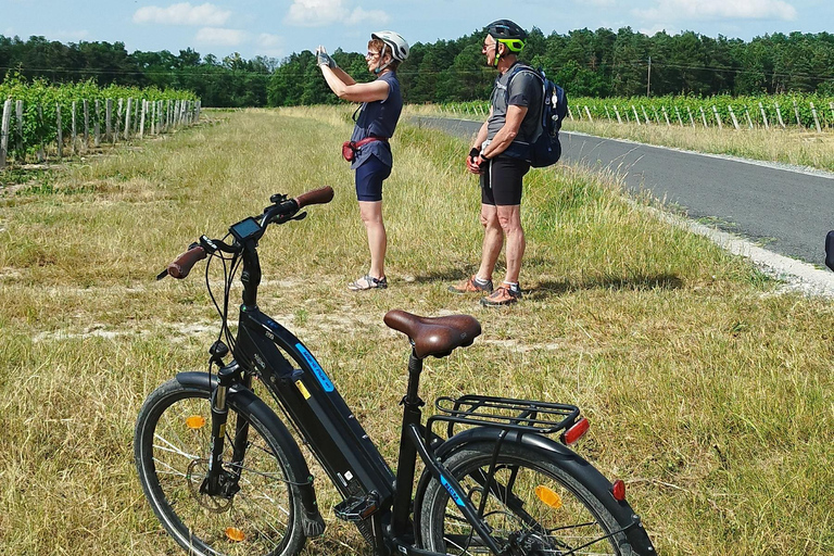 Royal Loire E-bike day: Amboise, Chenonceau & Wine Tasting