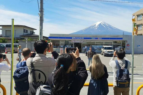 From Tokyo: Private Mount Fuji Day Trip with Driver
