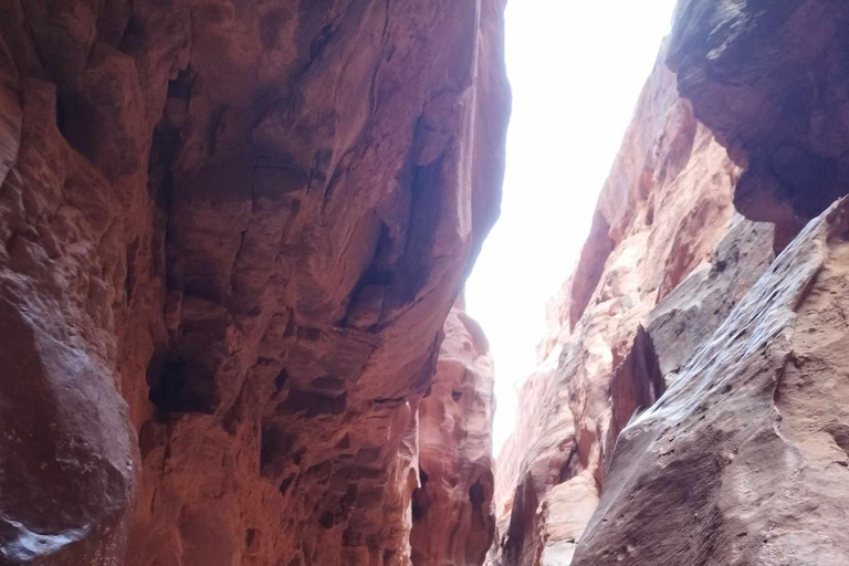 Wadi Rum: 2-timmars jeeptur med beduin-te