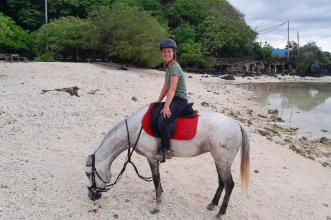 Gili Trawangan: Experiencias de equitación en la playa1 hora de viaje