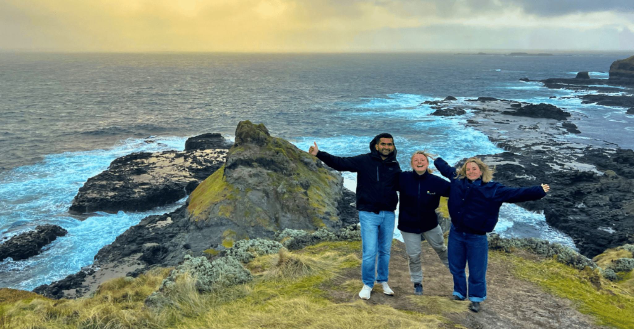 From Melbourne: Penguin Parade Afternoon Tour photo 6