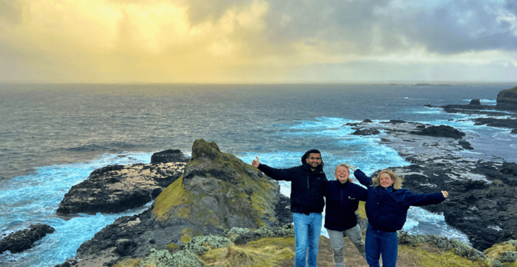 Phillip Island Penguin Parade Tour photo 6