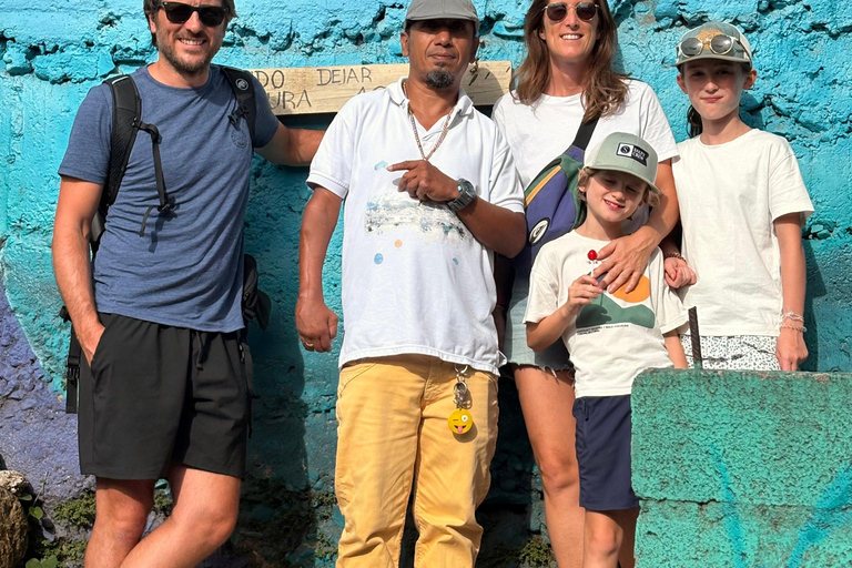 麦德林：乘坐缆车城市观光和隐藏的街头艺术麦德林：乘缆车城市观光和隐秘街头艺术