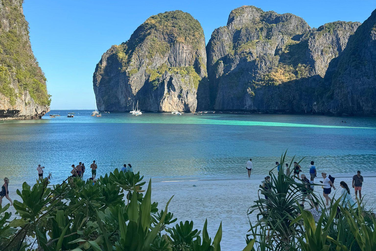 Phi Phi: 7 Islands longtail boat with Sunset and Plankton