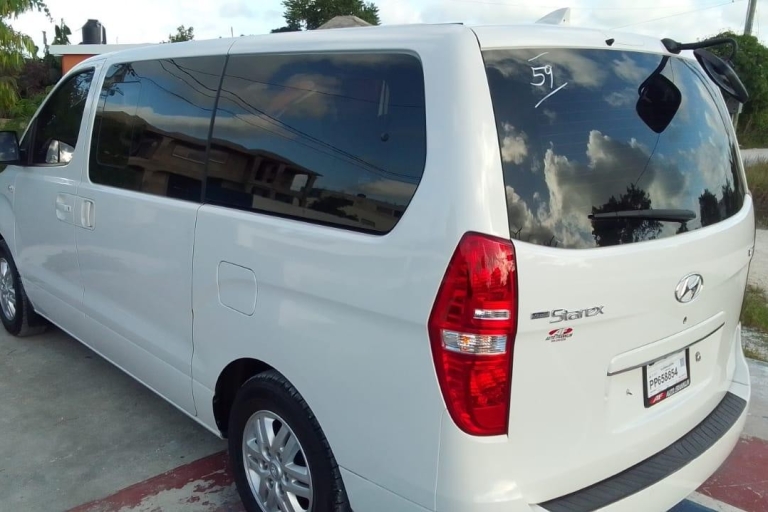 Punta Cana: Private Airport Transfer Service to Hotel Transfer