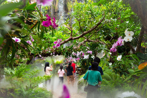 Lalita Cafe & Chiang Rai Temple(White+Blue) from Chiangmai lalita