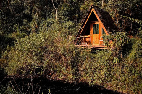 Kigali: 2-Day Nyungwe Rainforest Adventure with Zipline