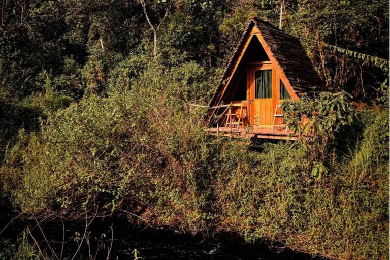 Kigali: 2-Day Nyungwe Rainforest Adventure with Zipline