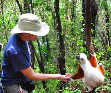 Antananarivo: Andasibe Mantadia National Park 3-Tages-Tour