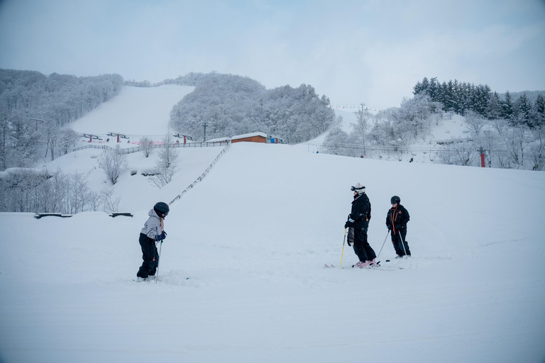 From Sapporo: Asarigawa Onsen Ski Resort Snowboard Lesson