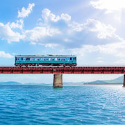 Osaka/Kyoto: Sea Train, Amanohashidate & Ine Private Tour