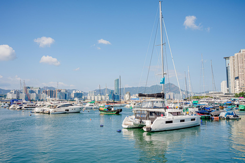 Victoria Harbour Shoreline Bike + Street Food Half-day Tour