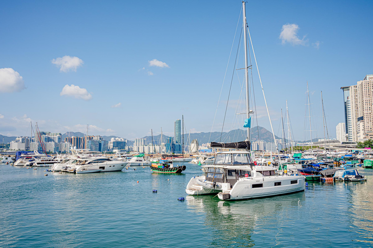 Victoria Harbour Shoreline Bike + Street Food Half-day Tour