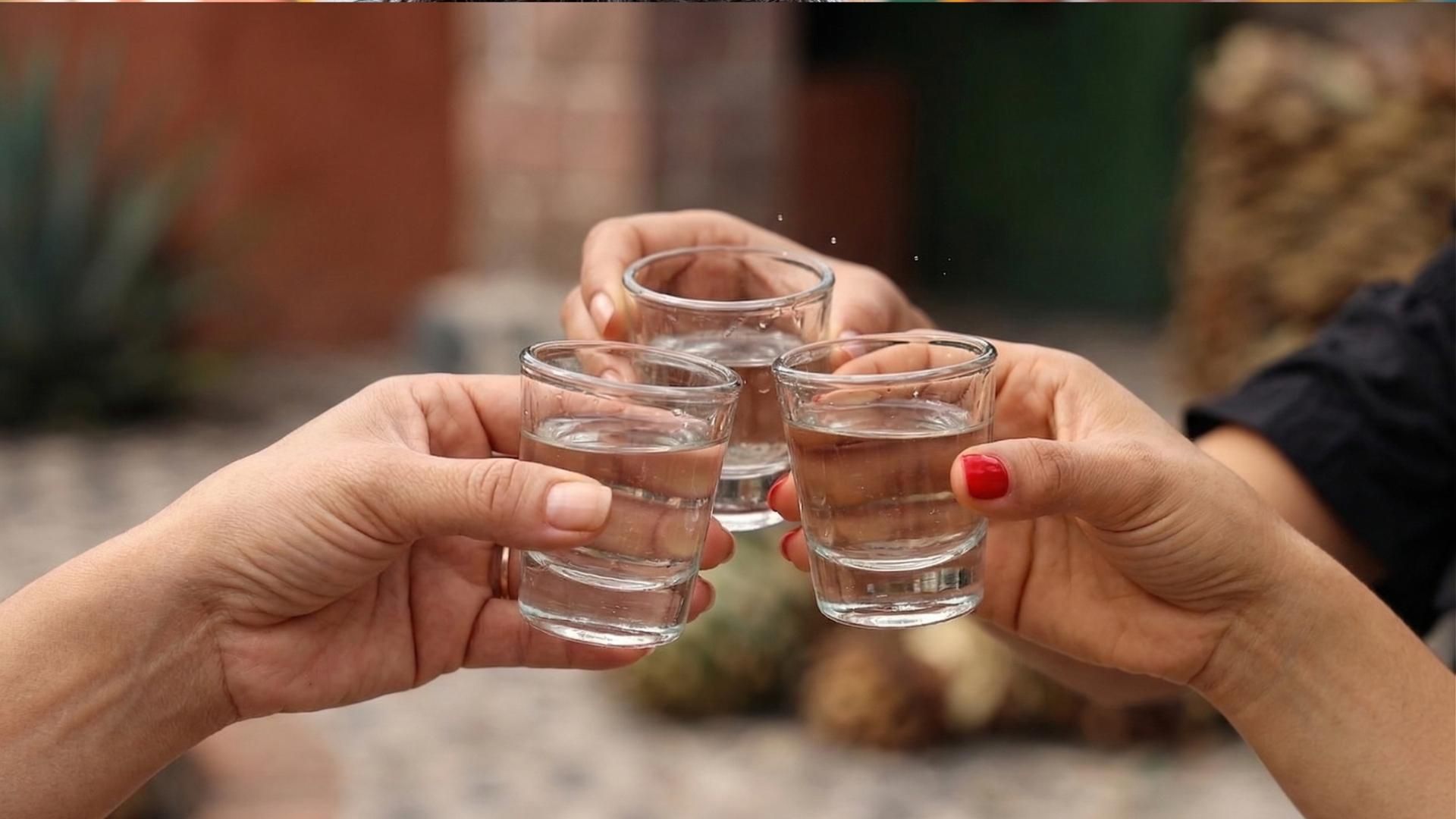 Ab Puebla: Die beste Mezcal-Tour + private Atlixco-Tour