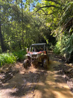 Vanuit Madeira, Private Buggy Rijervaring met Pickup - Hizvo