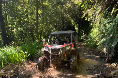 Madeira: Private Off-Road Buggy Driving Experience