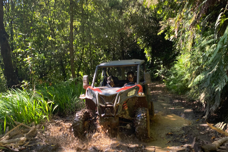 Madeira: Private Off-Road Buggy Driving Experience