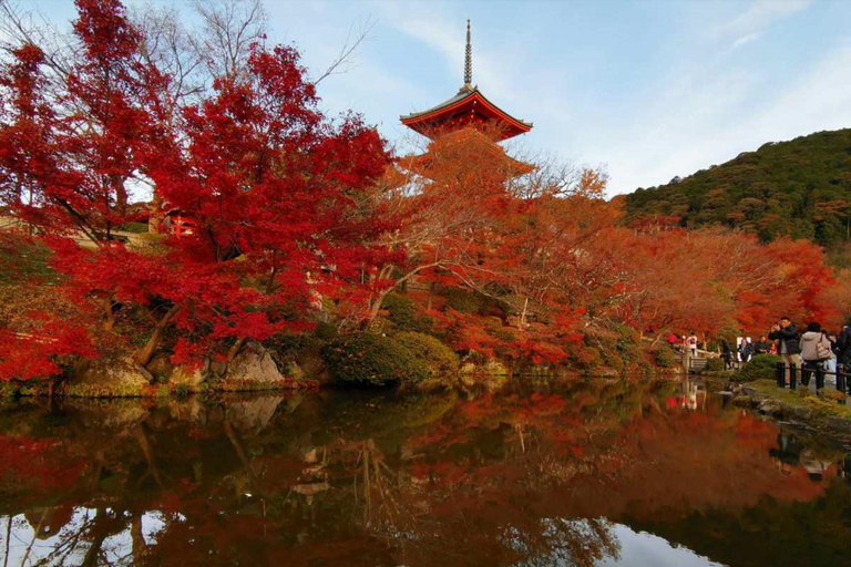 Kansai Flughafen (KIX) ⇋Nara (Hin- und Rückflug)Abholung|Nara-Kansai Flughafen (KIX)