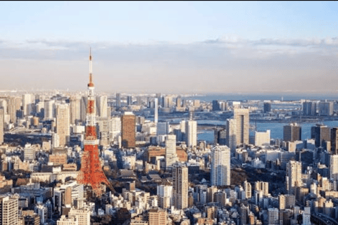 Tokyo: Private City Tour with Tokyo TeamLab Planets.