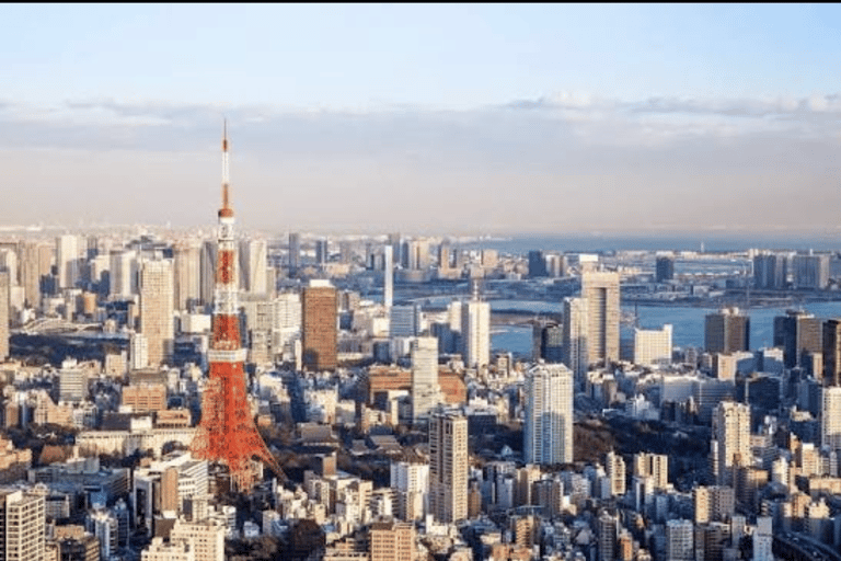 Tokyo: Private City Tour with Tokyo TeamLab Planets.
