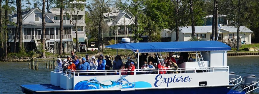 Orange Beach : Tour en bateau écologique pour l'observation des dauphins