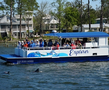 Orange Beach: Dolphin-Watching Eco-Boat Tour