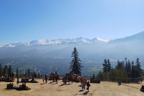 克拉科夫：扎科帕内之旅、烈酒品鉴和温泉克拉科夫：%%折扣扎科帕内之旅和温泉