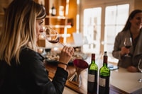 Da Saint-Emilion, tour elettrico di mezza giornata - Housity