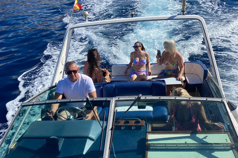 Costa Adeje: Dolphin and Snorkeling Cruise w/Snacks & Drinks Private Boat Tour