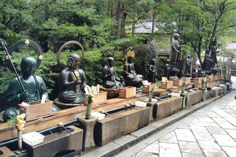 Z Osaki: prywatna wycieczka 1-dniowa z przewodnikiem do Koyasan (miejsce wpisane na listę UNESCO)