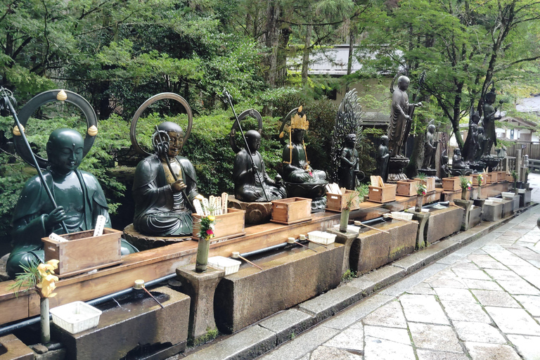 Z Osaki: prywatna wycieczka 1-dniowa z przewodnikiem do Koyasan (miejsce wpisane na listę UNESCO)