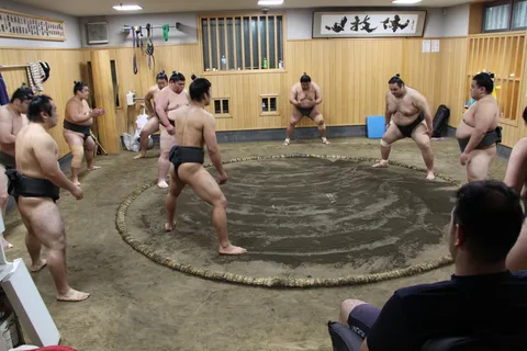 Tokyo: Tour di allenamento mattutino del Grand Sumo