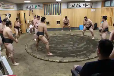 Tokyo: Büyük Sumo Sabah Antrenman Turu